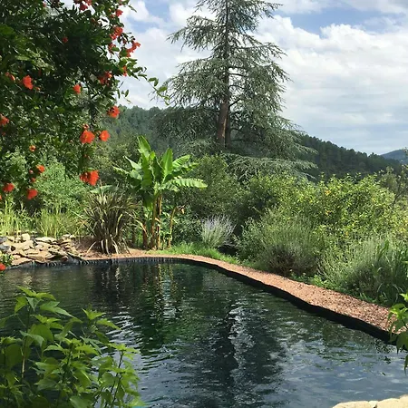 Semesterbostad 13th Century Cevennes With Natural Pool *