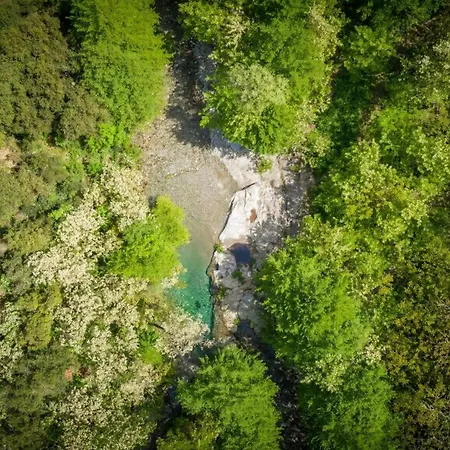 13th Century Cevennes With Natural Pool Semesterbostad *