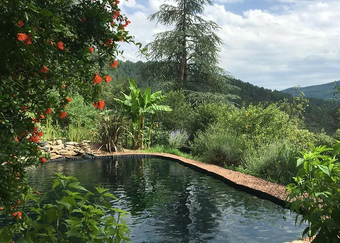 13th Century Cevennes With Natural Pool Casa de Férias Soustelle